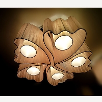 DECORATIVE CEILING LIGHTS